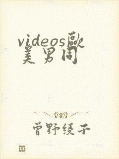 videos欧美男同封面