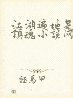 江湖遍地是奇葩镇魂小说网封面