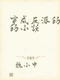 穿成反派的亲妈的小说