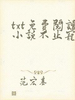 txt免费阅读小说不止宠爱