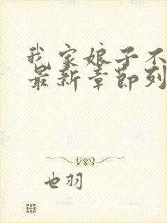 我家娘子不对劲最新章节列表最