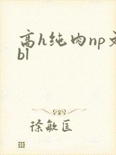 高h纯肉np文bl