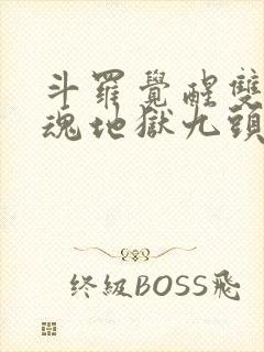 斗罗觉醒双生武魂地狱九头龙