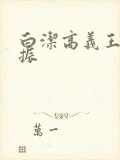 白洁高义王申赵振封面