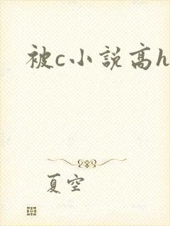 被c小说高h