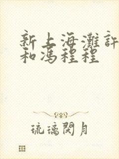 新上海滩许文强和冯程程