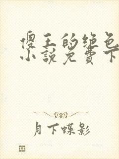 傻王的绝色王妃小说免费下载封面