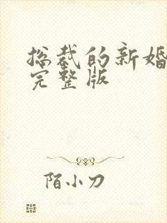 总裁的新婚罪妻完整版封面