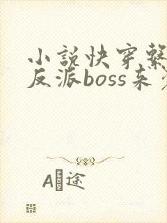 小说快穿系统之反派boss来袭免费阅读