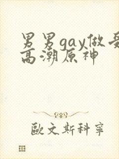 男男gay做受高潮原神封面