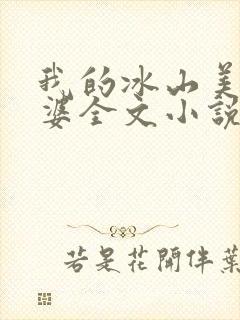 我的冰山美女老婆全文小说封面