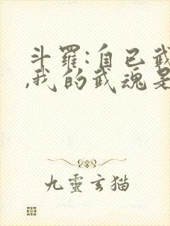 斗罗:自已武魂,我的武魂是魂斗罗