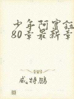 少年阿宾钰慧篇80章最新章节封面