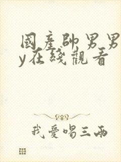 国产帅男男gay在线观看