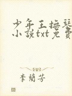 少年王抚琴的人小说txt免费下载