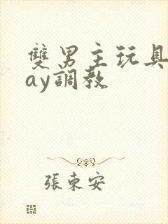 双男主玩具play调教