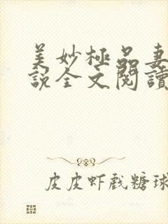 美妙极品妻子小说全文阅读