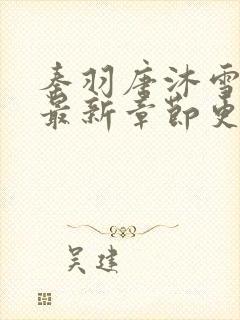 秦羽唐沐雪小说最新章节更新