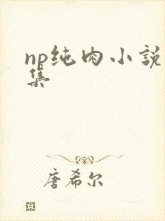 np纯肉小说合集