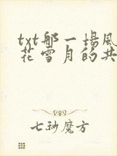 txt那一场风花雪月的共谋