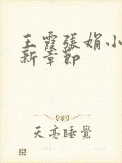 王霞张娟小说最新章节