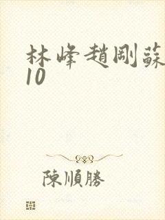 林峰赵刚苏柔第10