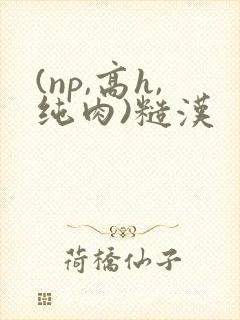 (np,高h,纯肉)糙汉