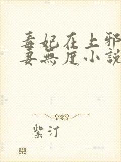 毒妃在上邪王宠妻无度小说