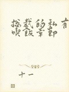 总裁的私有宝贝吃饭章节封面