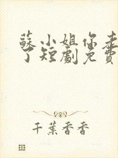 苏小姐你老公丢了短剧免费观看