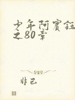 少年阿宾钰慧篇之80章