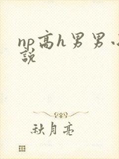 np高h男男小说