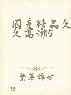 国产精品久久久久高潮5