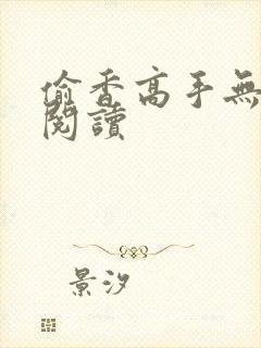 偷香高手无删减阅读