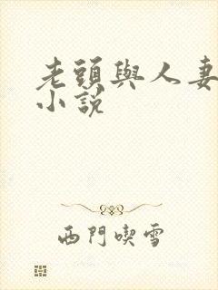 老头与人妻系列小说封面