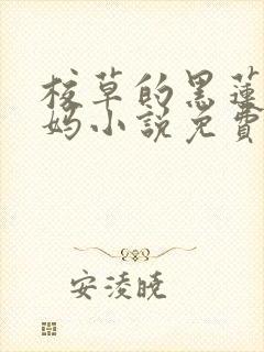 校草的黑莲花亲妈小说免费笔趣阁