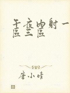 午夜内射一区二区三区