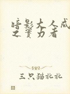 暗影大人成为影之实力者