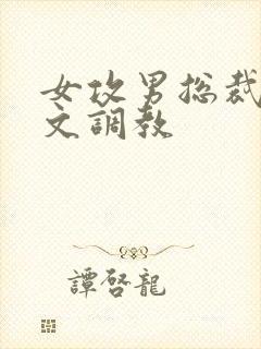 女攻男总裁sp文调教封面