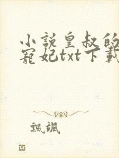 小说皇叔的第一宠妃txt下载