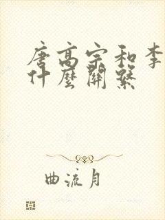 唐高宗和李世民什么关系封面