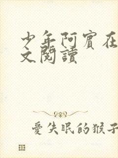 少年阿宾在读全文阅读