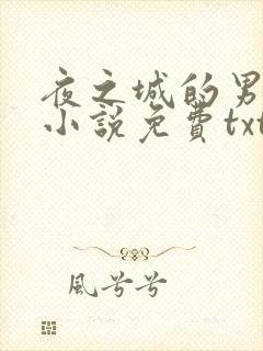 夜之城的男人们小说免费txt下载封面