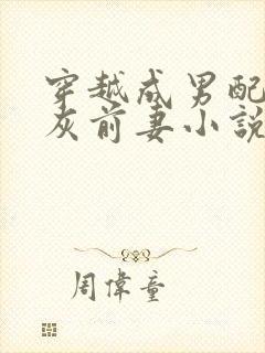 穿越成男配的炮灰前妻小说