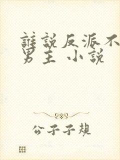 谁说反派不能当男主 小说