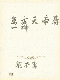 万古天帝聂天第一神