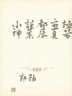 小说都市极品医神叶辰夏若雪无弹窗