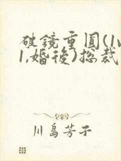 破镜重圆(1v1,婚后)总裁