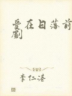 爱在日落前电视剧封面