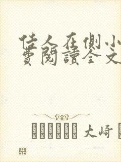 佳人在侧小说免费阅读全文无弹窗